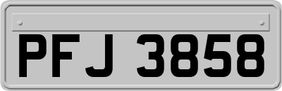 PFJ3858