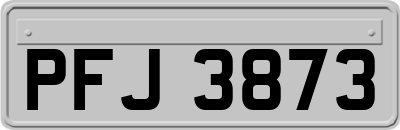 PFJ3873