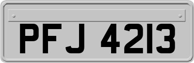 PFJ4213