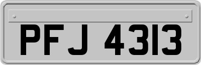 PFJ4313
