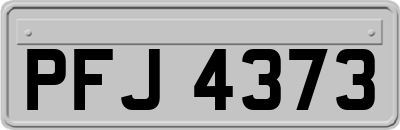 PFJ4373