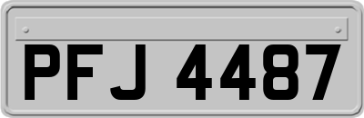 PFJ4487