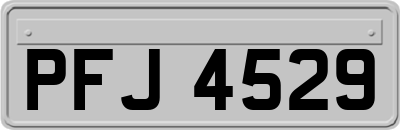 PFJ4529
