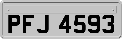 PFJ4593