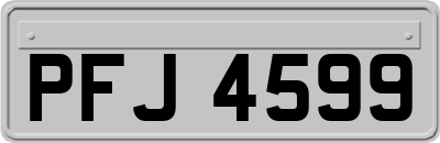 PFJ4599