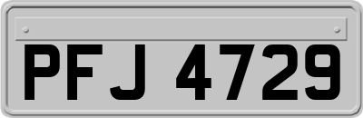 PFJ4729
