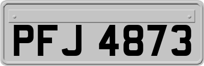 PFJ4873