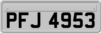 PFJ4953
