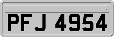 PFJ4954