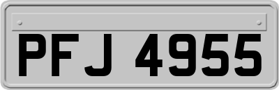 PFJ4955
