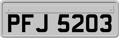 PFJ5203