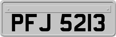 PFJ5213