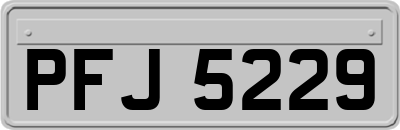 PFJ5229