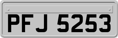 PFJ5253