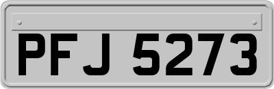 PFJ5273