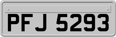 PFJ5293