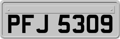PFJ5309