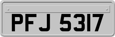 PFJ5317