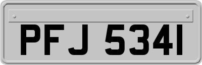 PFJ5341