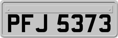 PFJ5373