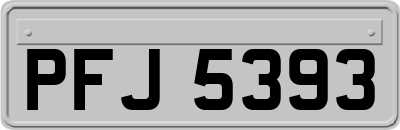 PFJ5393