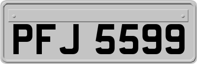 PFJ5599