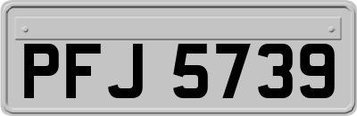 PFJ5739
