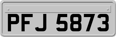 PFJ5873