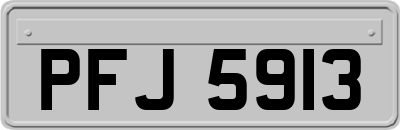 PFJ5913