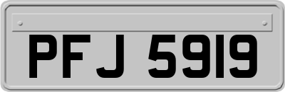 PFJ5919