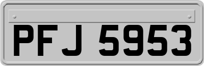 PFJ5953