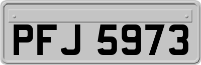 PFJ5973