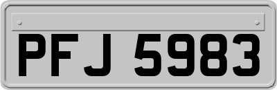 PFJ5983