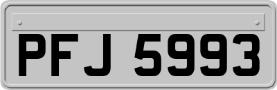 PFJ5993