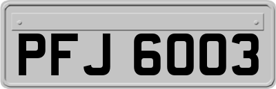 PFJ6003