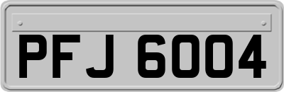 PFJ6004