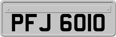 PFJ6010