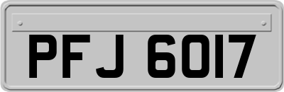 PFJ6017