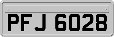 PFJ6028