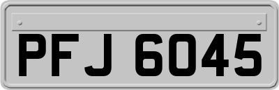PFJ6045