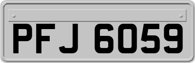 PFJ6059
