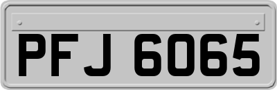 PFJ6065