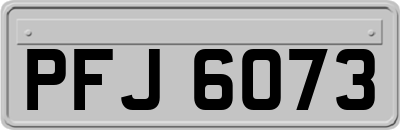 PFJ6073
