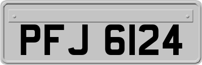 PFJ6124