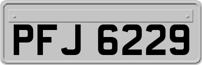 PFJ6229