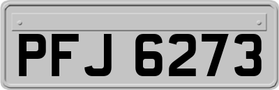 PFJ6273