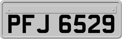 PFJ6529