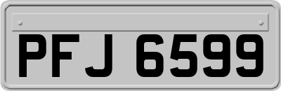 PFJ6599