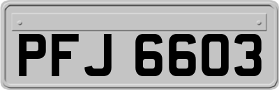 PFJ6603