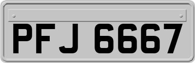 PFJ6667